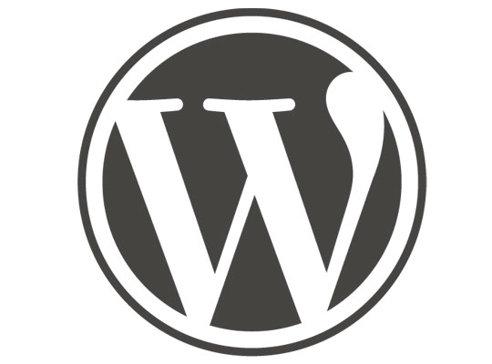 6 Tips for a Safer WordPress Hosted Website