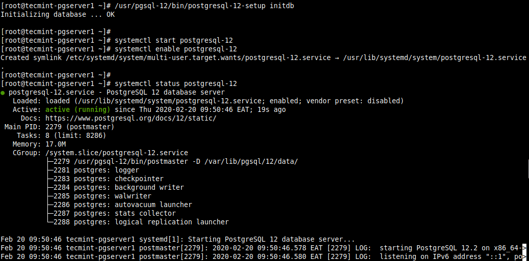 Initialize PostgreSQL Database