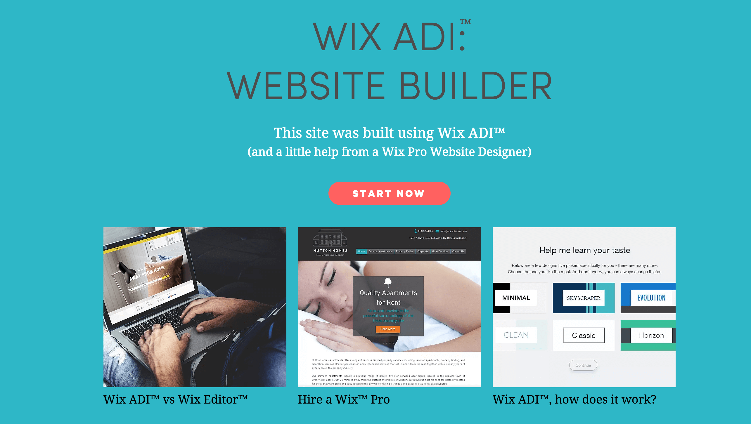 A website created using Wix ADI.