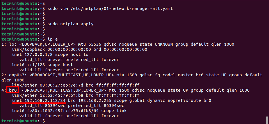 Verify Network Interfaces on Ubuntu