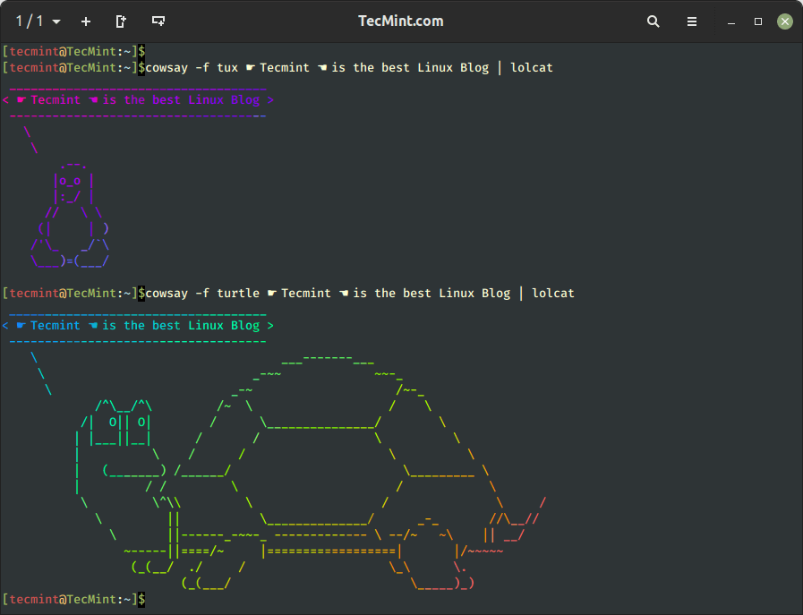Display ASCII Art Animal in Linux