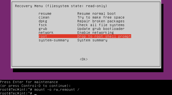 Ubuntu Mount Filesystem