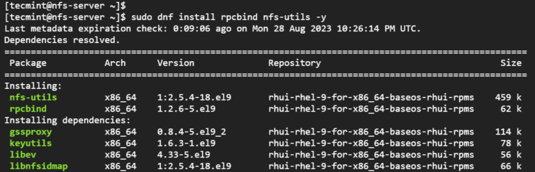 How to Install NFS Server and Client on RHEL-based Distributions