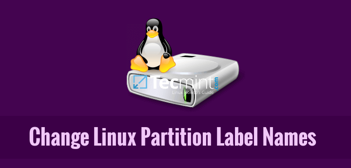 Change Modify Linux Partition Disk Names