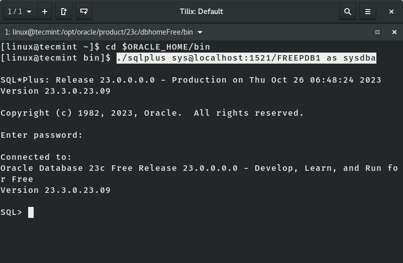 Connect Oracle Database 23c in Linux