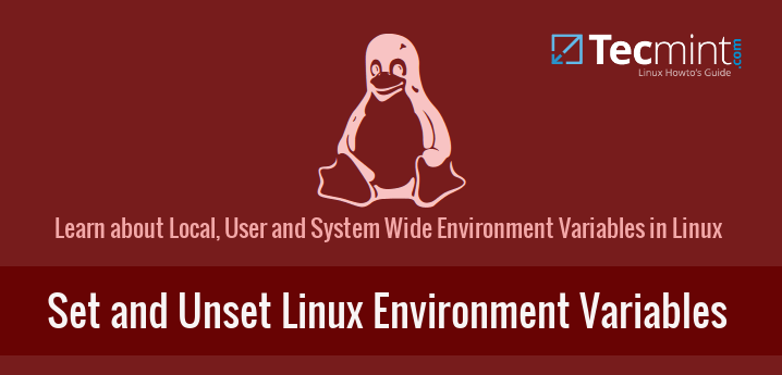 Set and Unset Linux Environment Variables