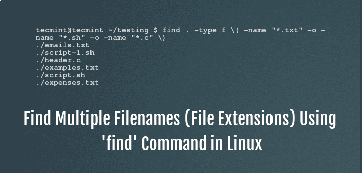 Find Multiple File Names in Linux