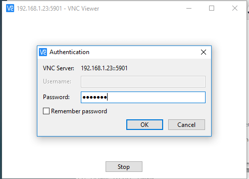 VNC Server User Password