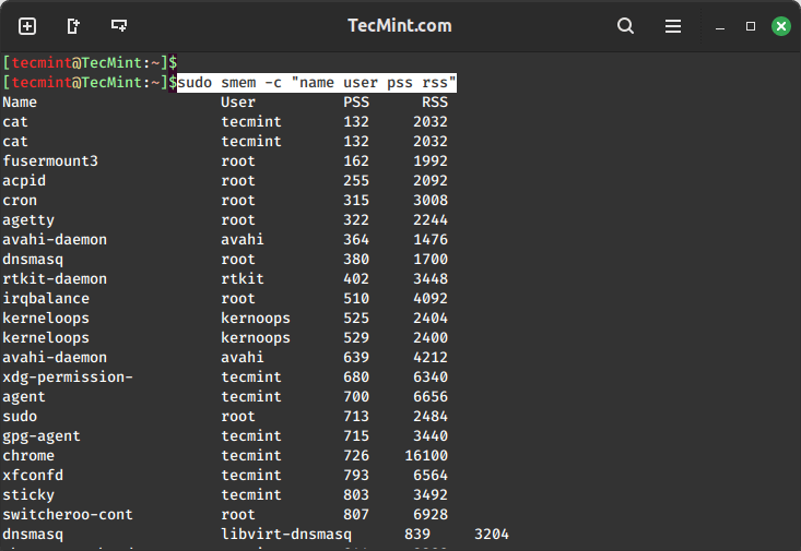 Display Memory Usage with Specific Columns