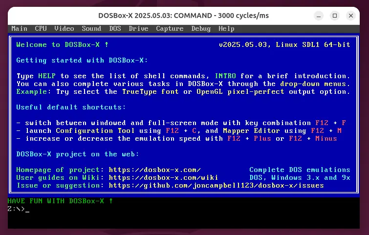 DOSBox-X Interface